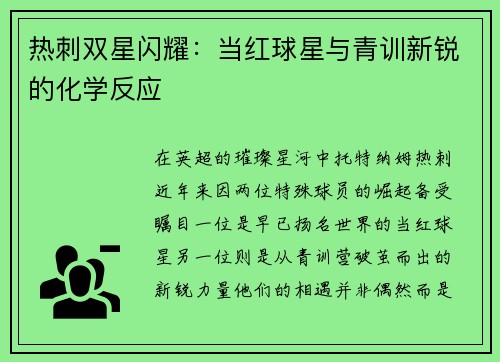 热刺双星闪耀：当红球星与青训新锐的化学反应